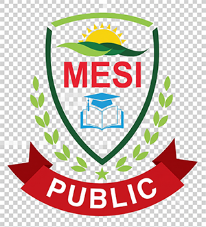 mesi-public-logo.png