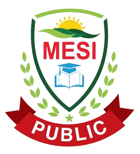 mesi_public_logo-removebg-preview